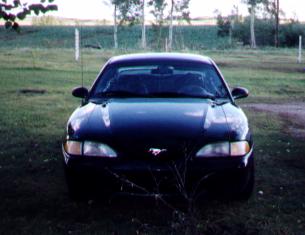 mustang2.jpg (13390 bytes)
